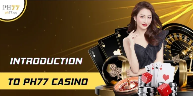 Đồ họa quản lý cookie của Bin88