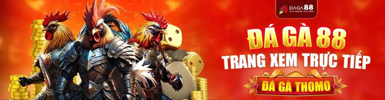 Đá Gà Trực Tuyến Bin88