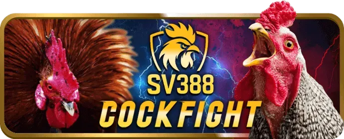 Ưu đãi độc quyền dành cho thành viên VIP Bin88