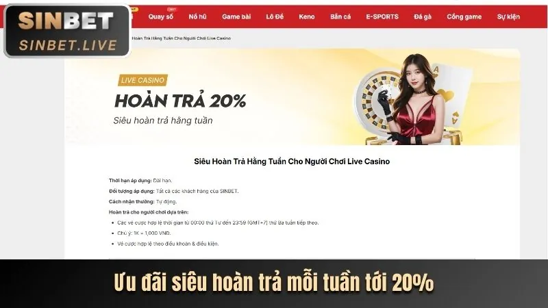 Các trò chơi bài truyền thống và hiện đại tại Bin88